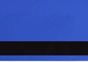 Blue PVC ID Card (CR80/Credit Card Size, 2.13" x 3.38")